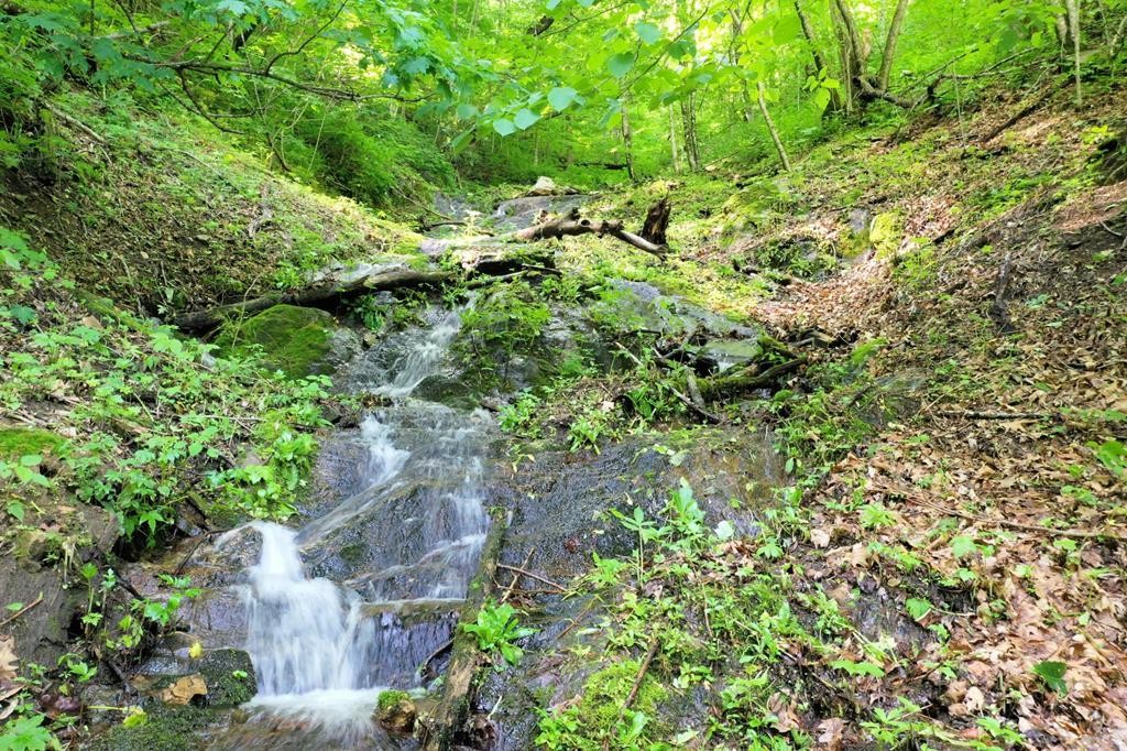 Other - Running Deer Trail lot: 284, Waynesville, NC