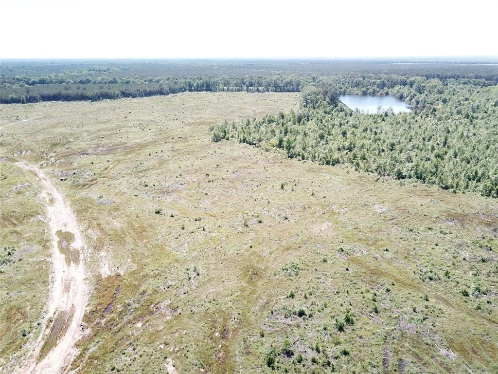 Plots and Land - 00 County Road 4308, Simms, TX