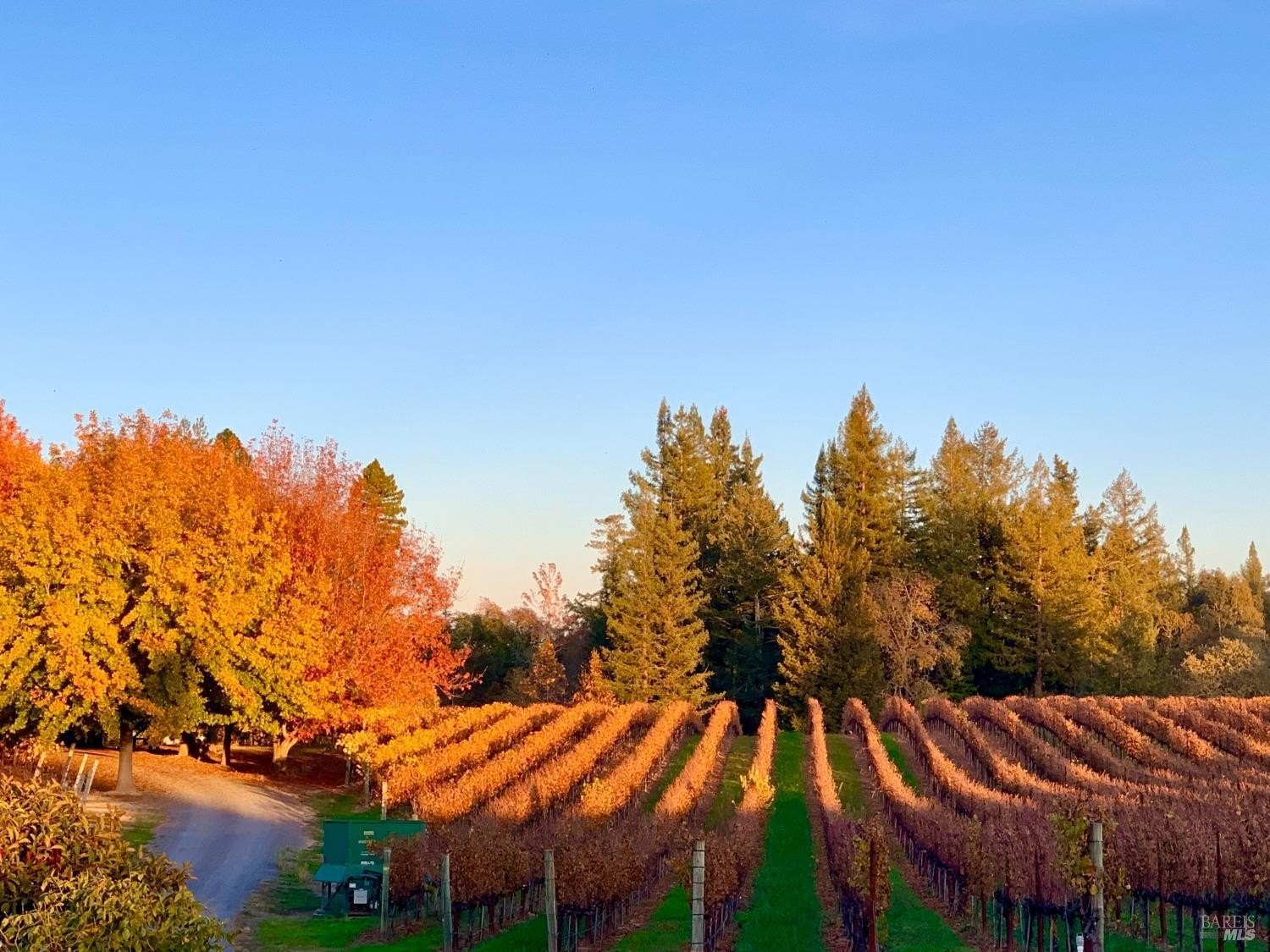Other 3BR 3BA - 4605 Gravenstein Highway N, Sebastopol, CA