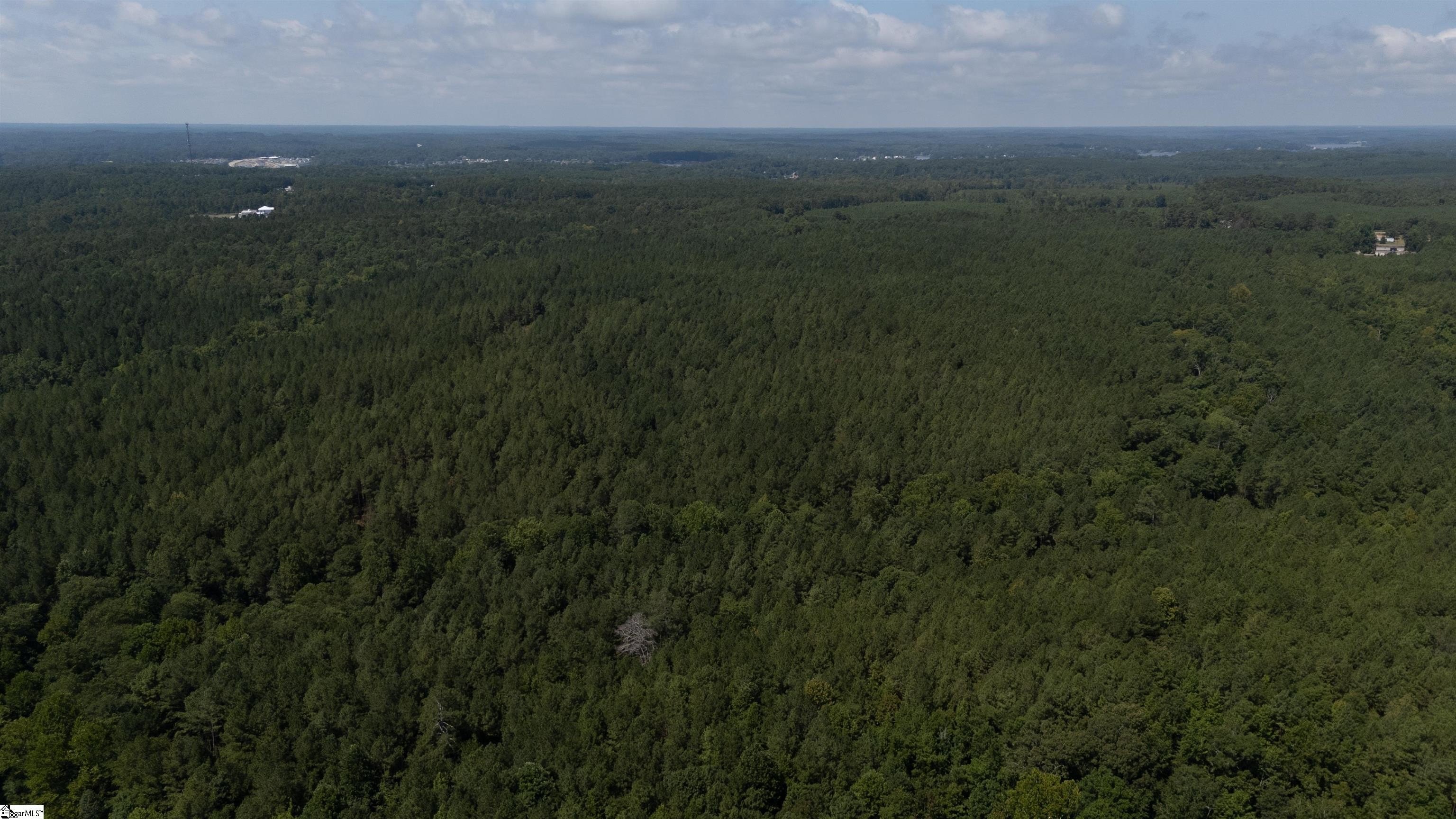 Other - S Highway 221, Waterloo, SC