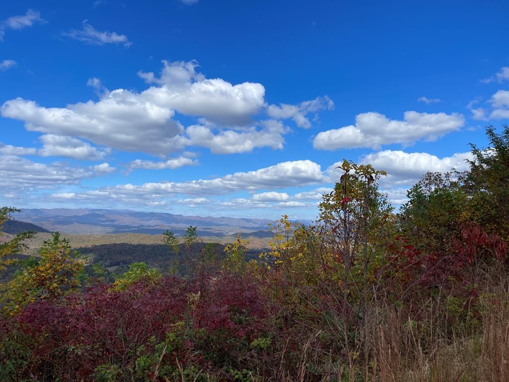 Other - 0 Brasstown Heights, BRASSTOWN, NC