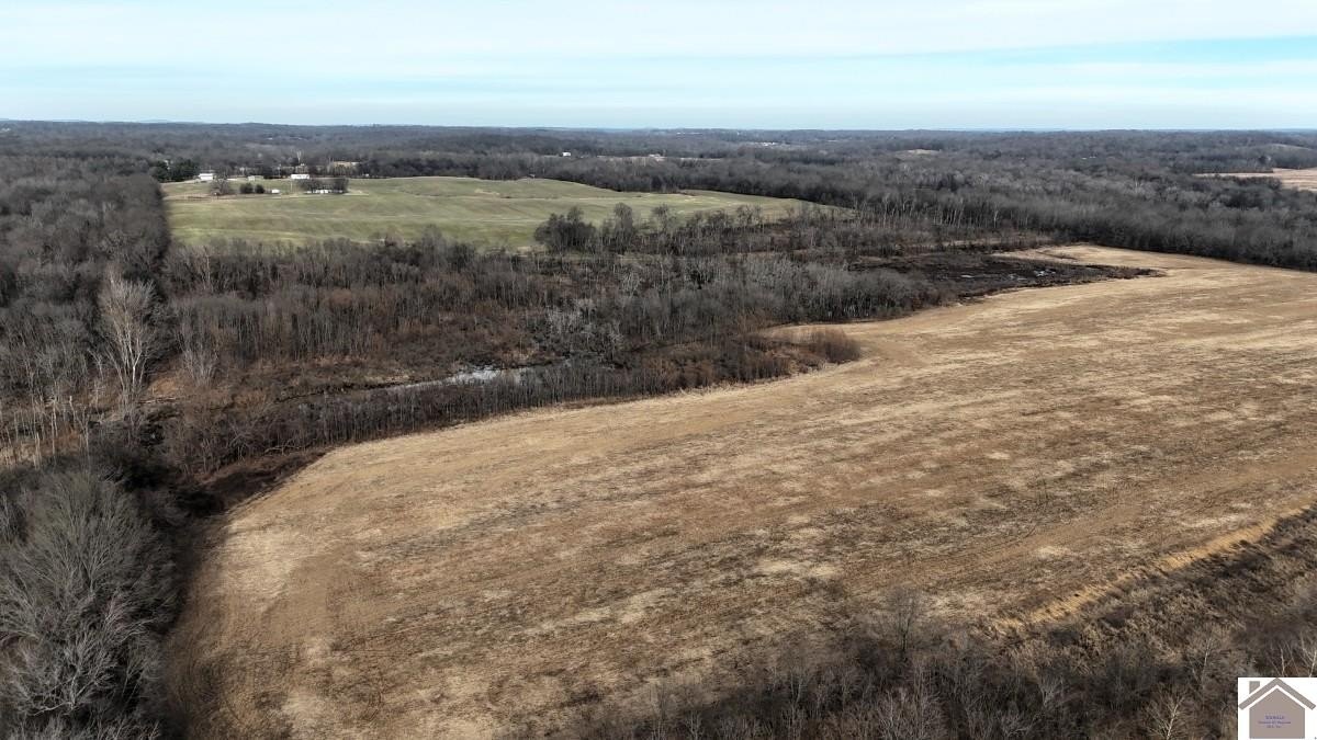Plots and Land - 000 Bloodworth Road, Smithland, KY