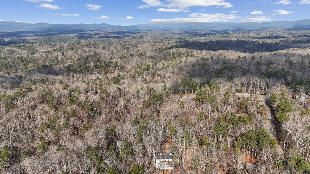 Other - Omen Court, Ellijay, GA