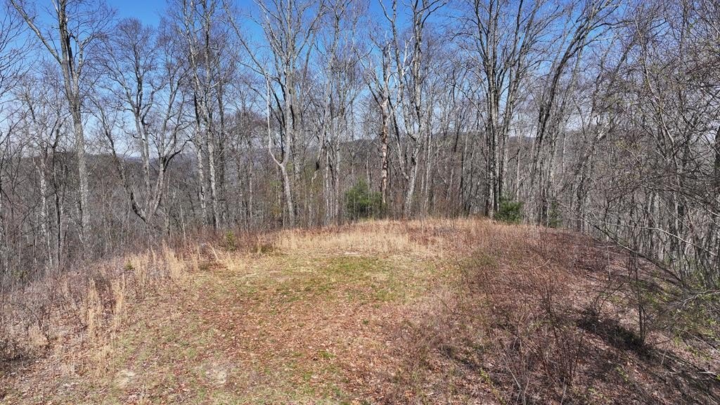 Other - 31.84 Ac Big Choga/Highlander Road, NANTAHALA, NC