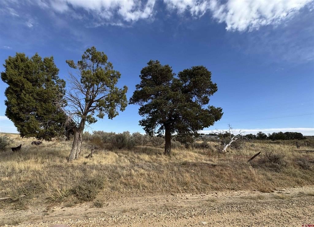 Other - 12040 Road N, Cahone, CO