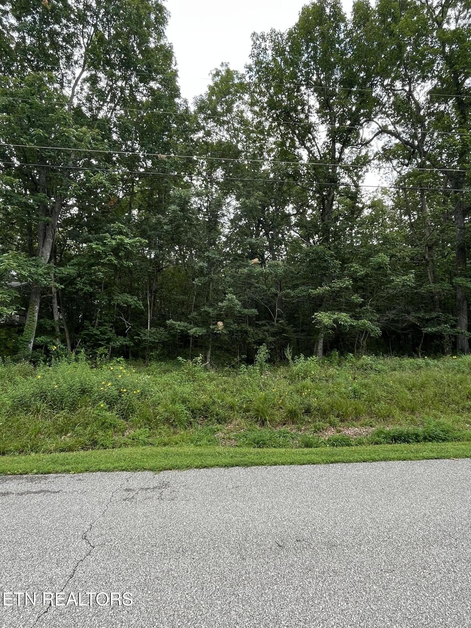 Other - 155 Canterbury Dr., Crossville, TN