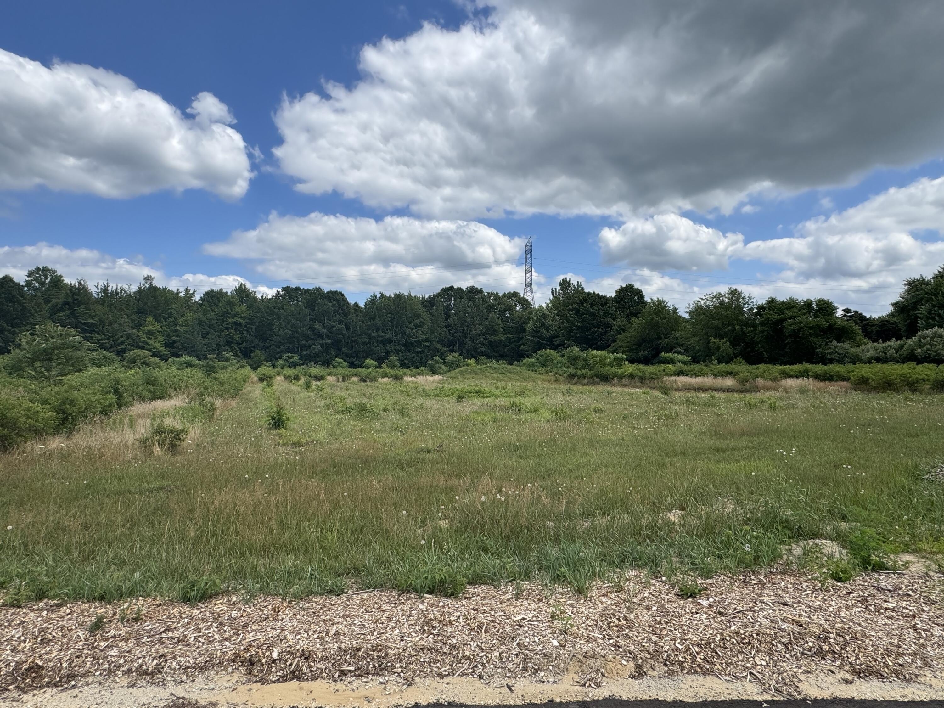 Other - 6537 118th Ave lot: G, Fennville, MI