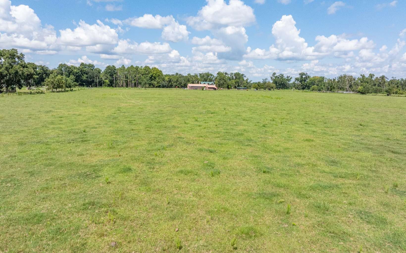 Plots and Land - TBD HOGAN RD, Wellborn, FL
