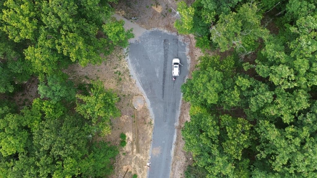 Other - Bluff Pt Lot 106, Spencer, TN