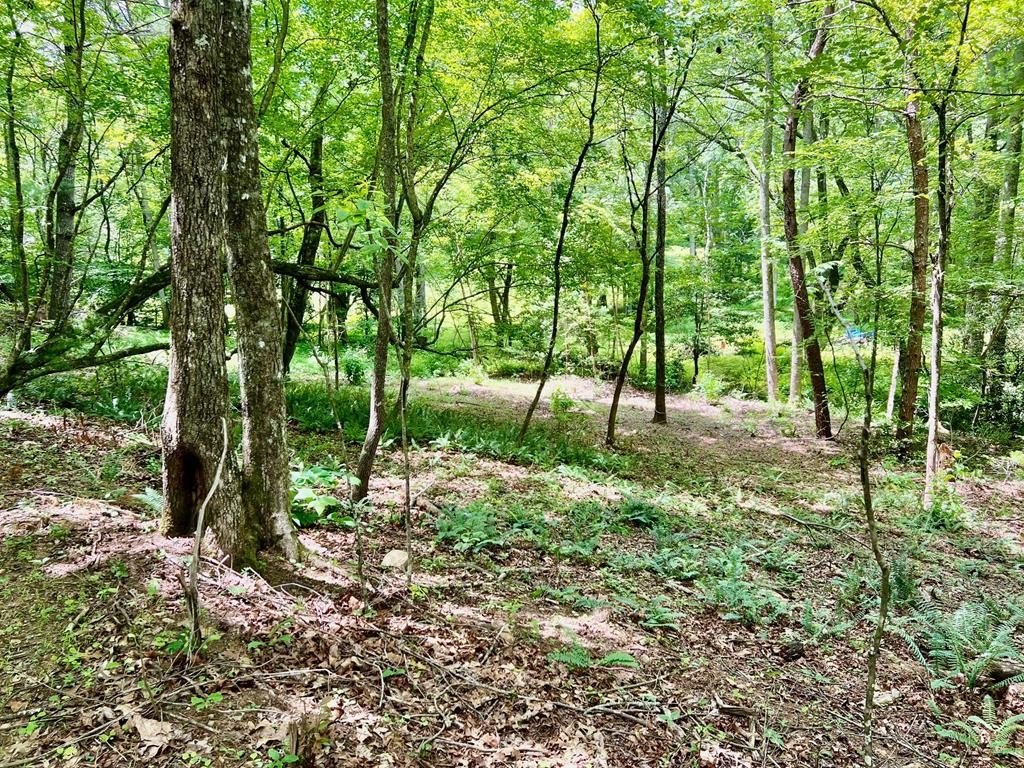 Other - Lot 3 Lower Fox Trail, Blairsville, GA
