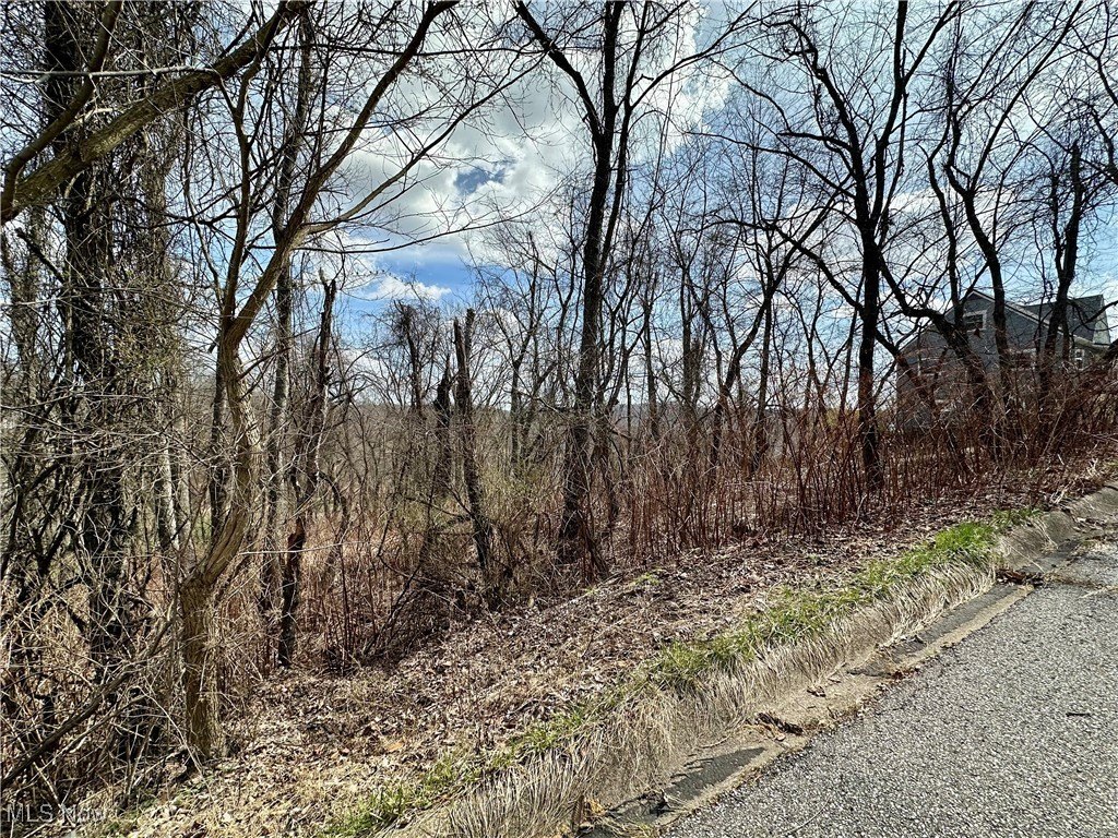 Other - Alta Street, Weirton, WV