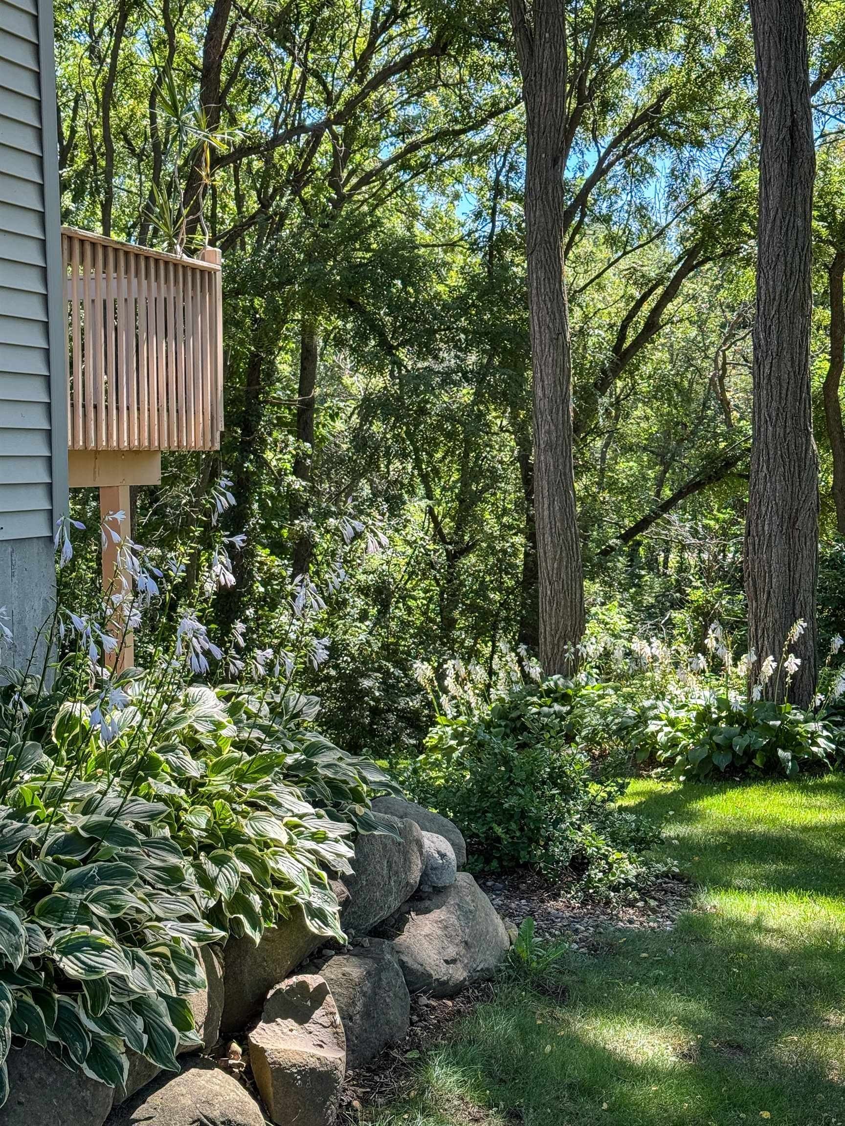 2001 Timber Lk Rd  