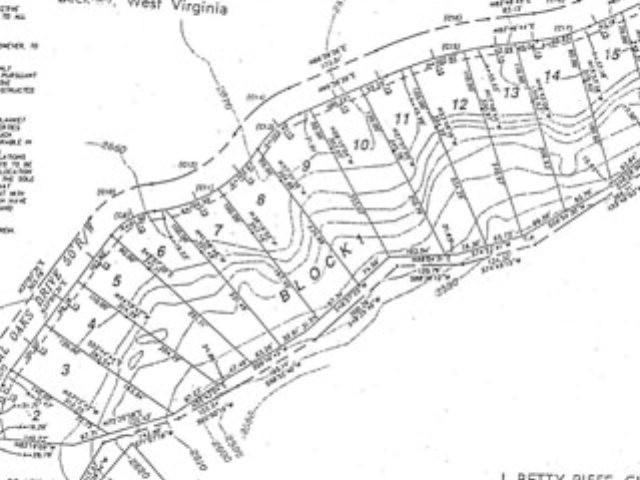Other - 162 ROYAL OAKS DRIVE, DANIELS, WV