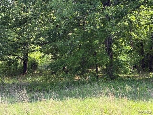 Other - Rainbow, Poplar Bluff, MO