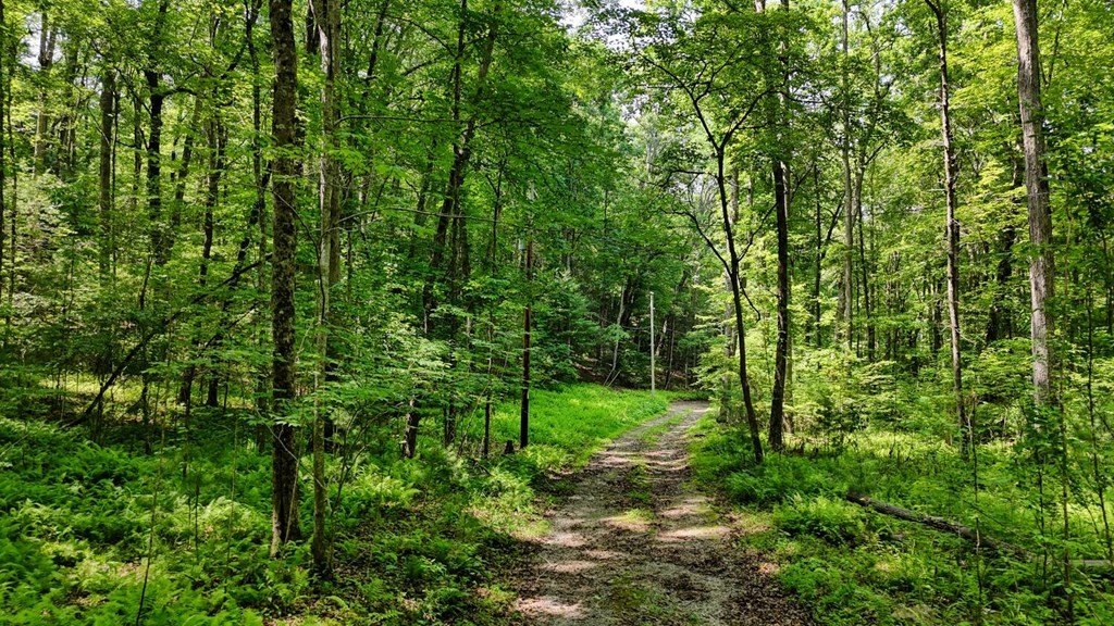 Other - 201 Jaguar Lane, Blue Ridge, GA