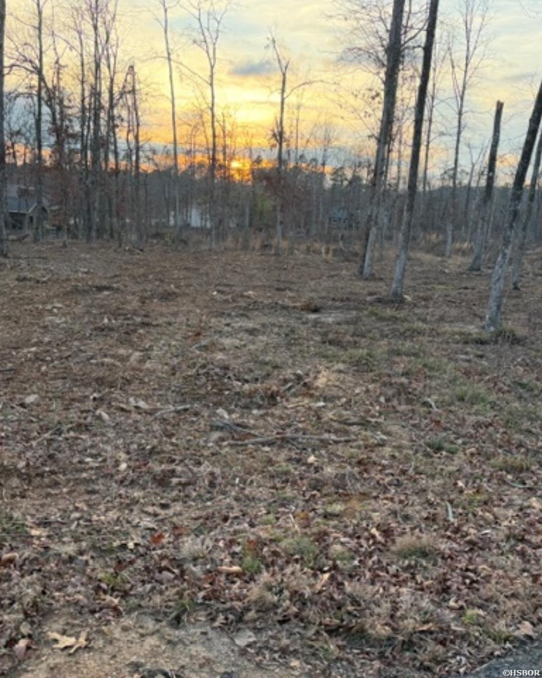 Other - BURGOS Lane, Hot Springs Village, AR