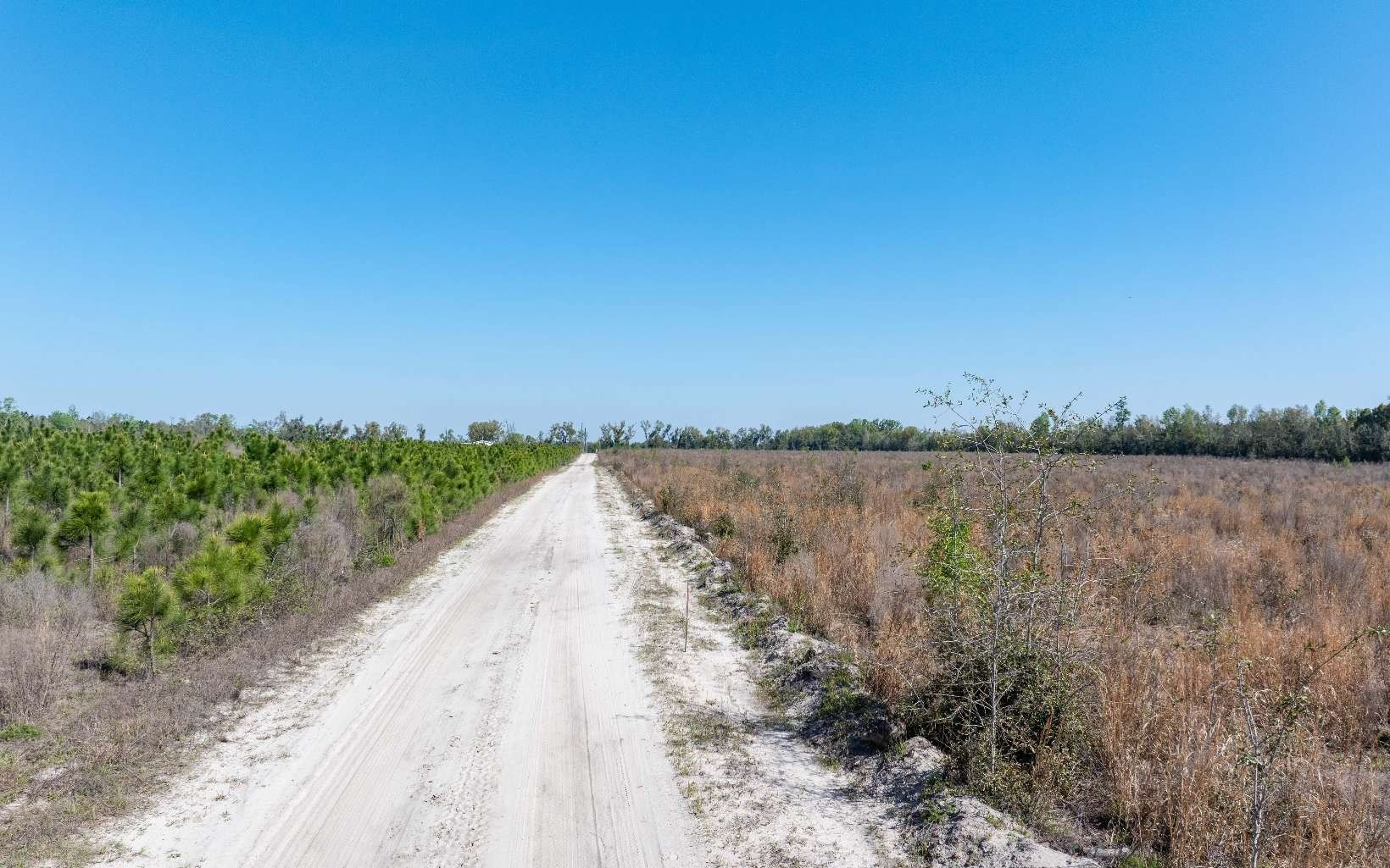 Other - 20 AC TBD 128TH STREET, Live Oak, FL