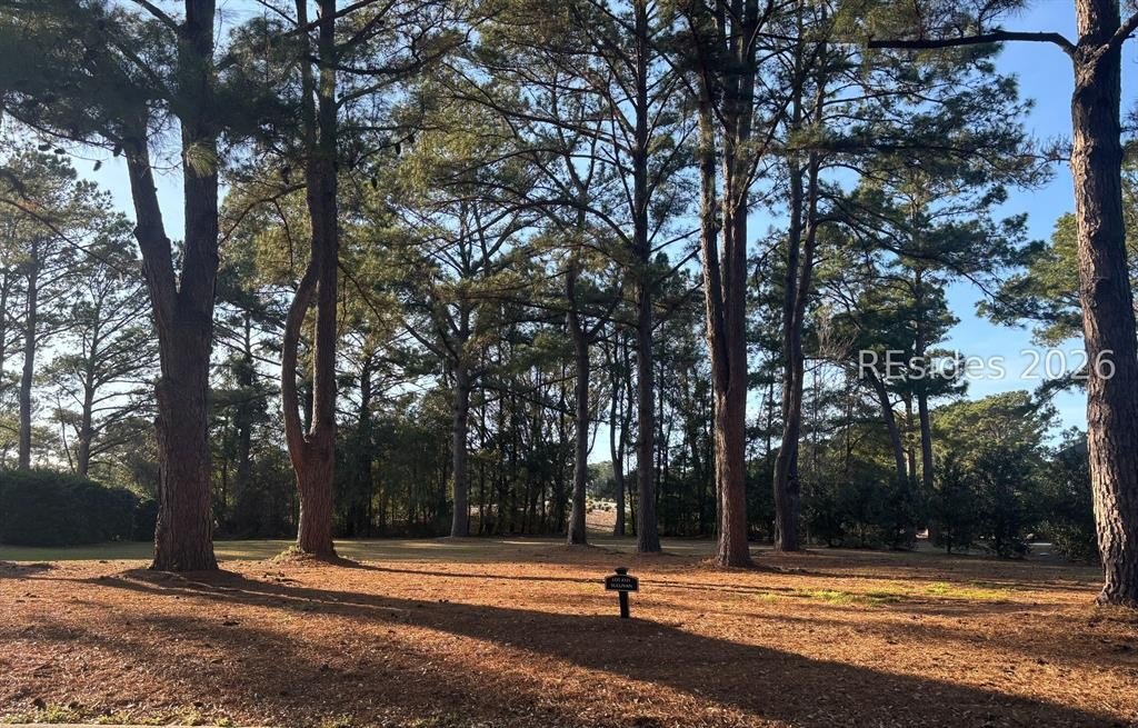 Other - 323 Bamberg Drive, Bluffton, SC