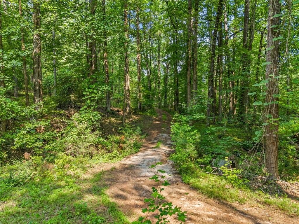 Plots and Land - 240 Brock Trail, Milton, GA
