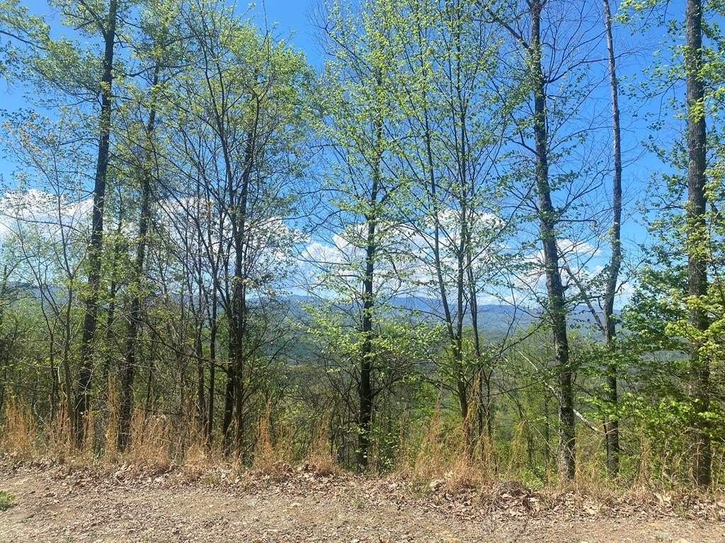 Other - Fulcher Vistas lot: 38, Franklin, NC