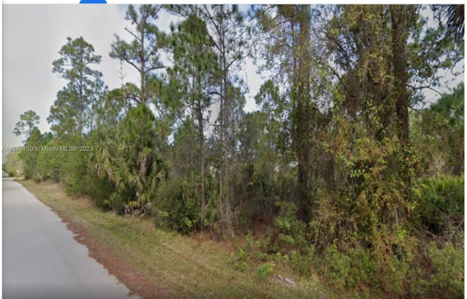 Other - 26318 Hapsburg Rd, Punta Gorda, FL