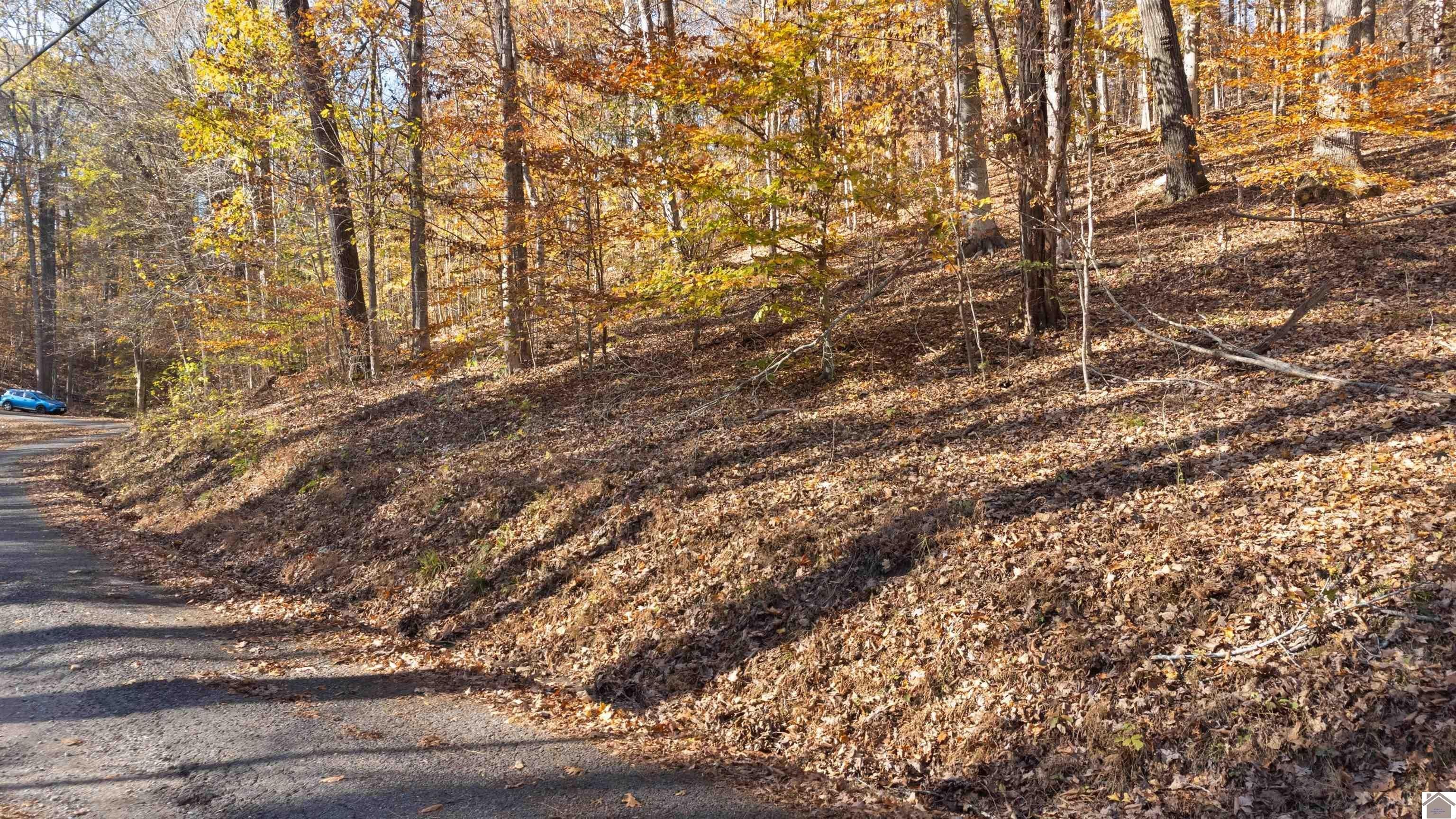 Other - Lot 54B & 55E Commerce Landing, Eddyville, KY