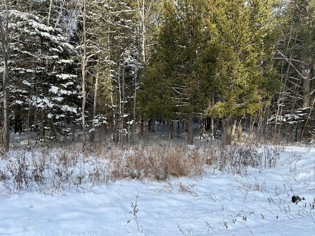 Other - Elder Road, Carp Lake, MI