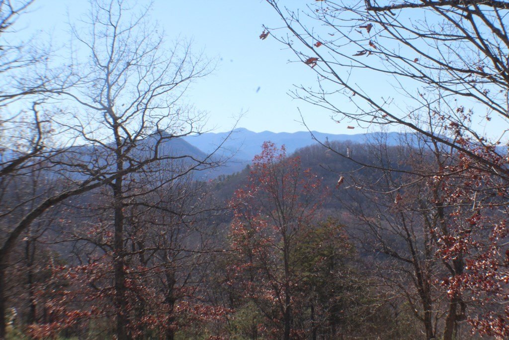 Other - Lot 139 Shiloh Ridge, Hayesville, NC