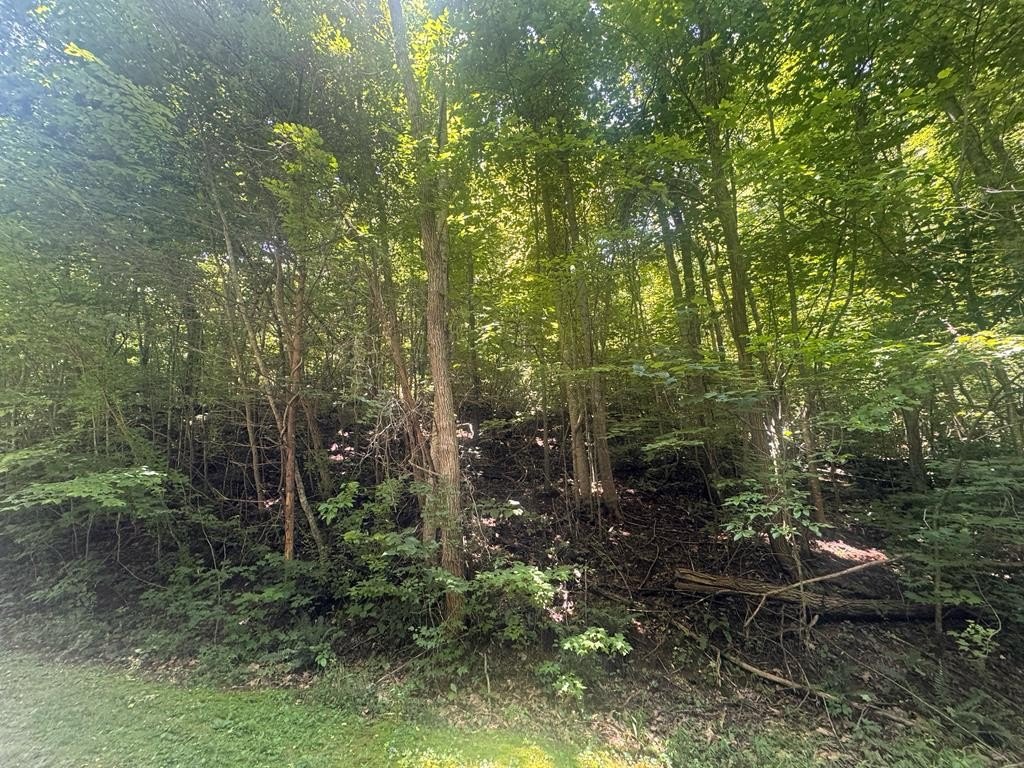 Other - 2.33 acr Flat Rock Valley Road lot: 10, Blairsville, GA