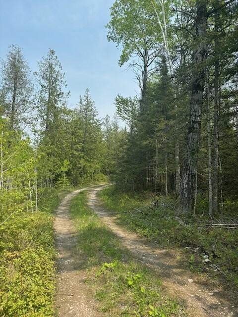 Other - Tbd W M-134 HWY, Hessel, MI