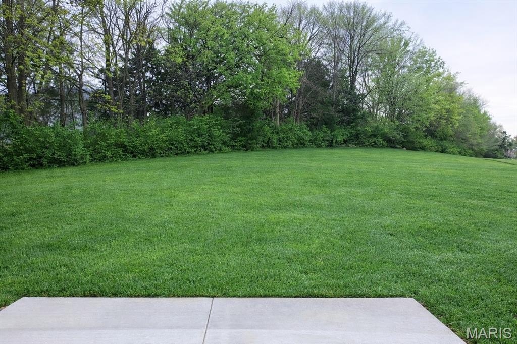 Single Family 3BR 2BA - 159 Pellin's Court, Washington, MO