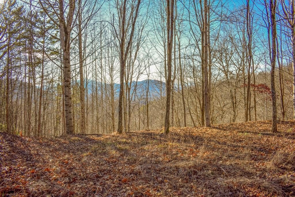 Other - 10 Ridge Place, Bryson City, NC