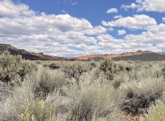 Other - 4323 S Scenic Dr, Panguitch, UT