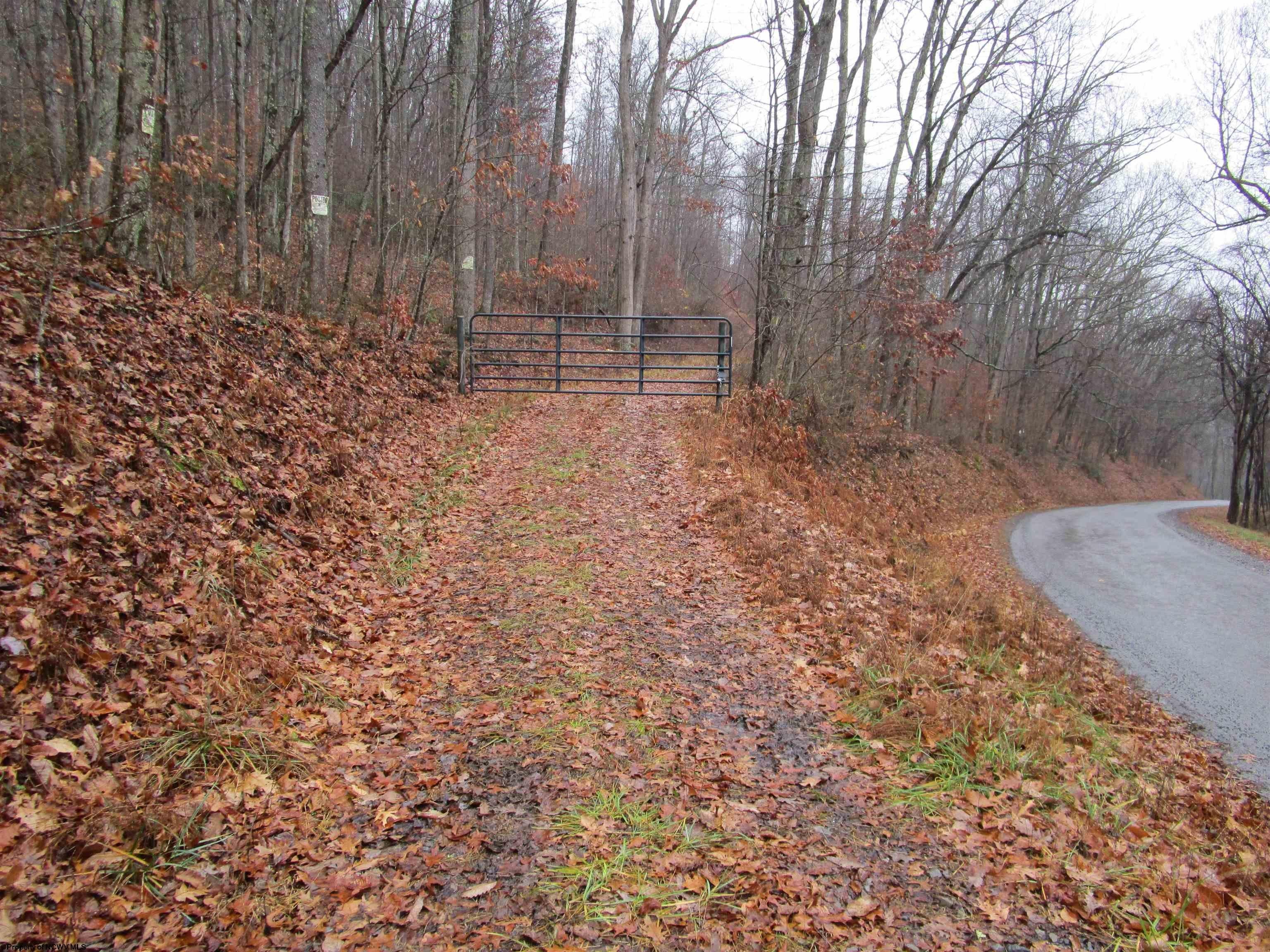 Other - TBD N Pheasant Mountain Road, Kerens, WV