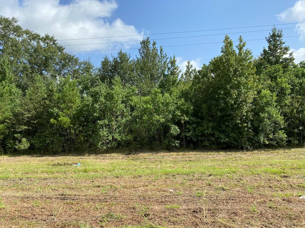 Other - 78 Hwy 590, Ellisville, MS