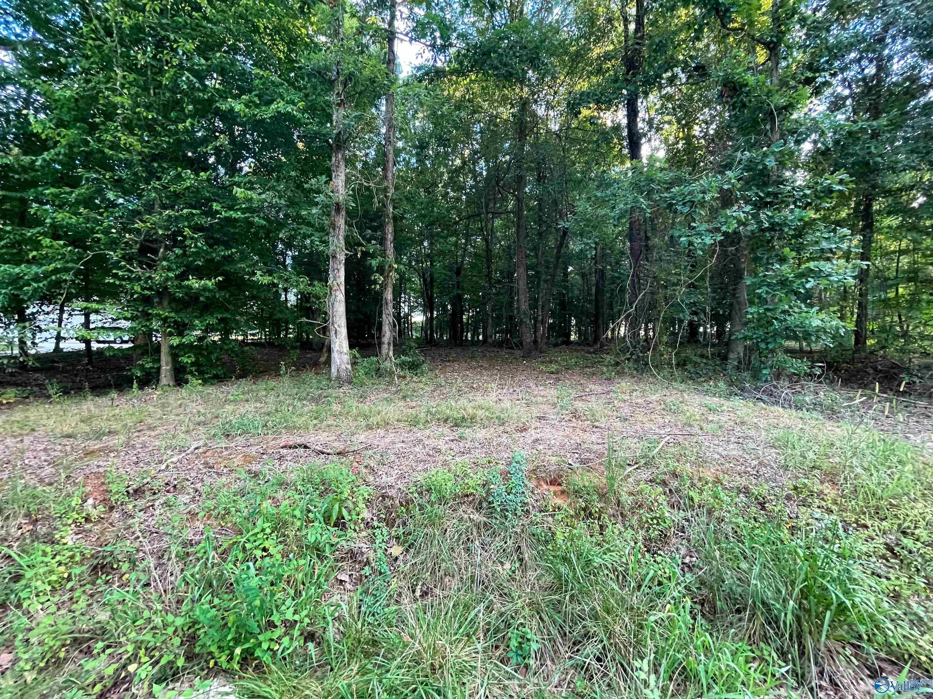 244 Poplar Spgs Dr  