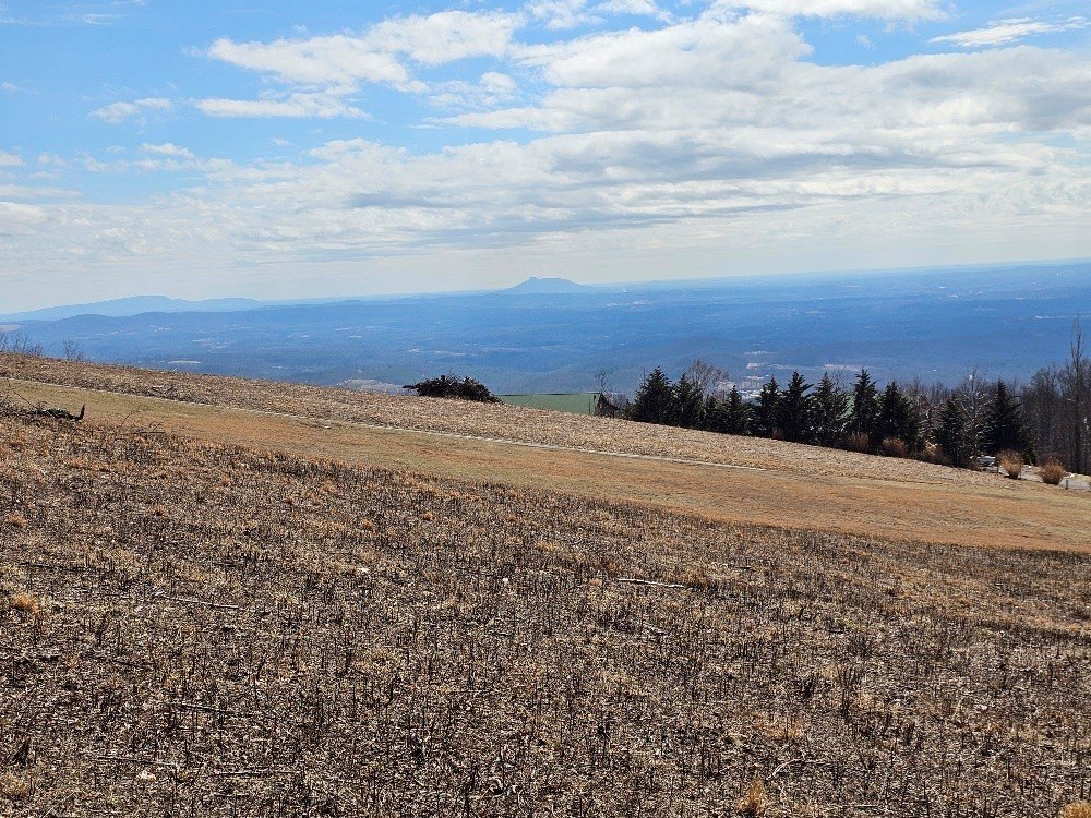 Other - Cabin Ridge Trail lot: 2, Fancy Gap, VA