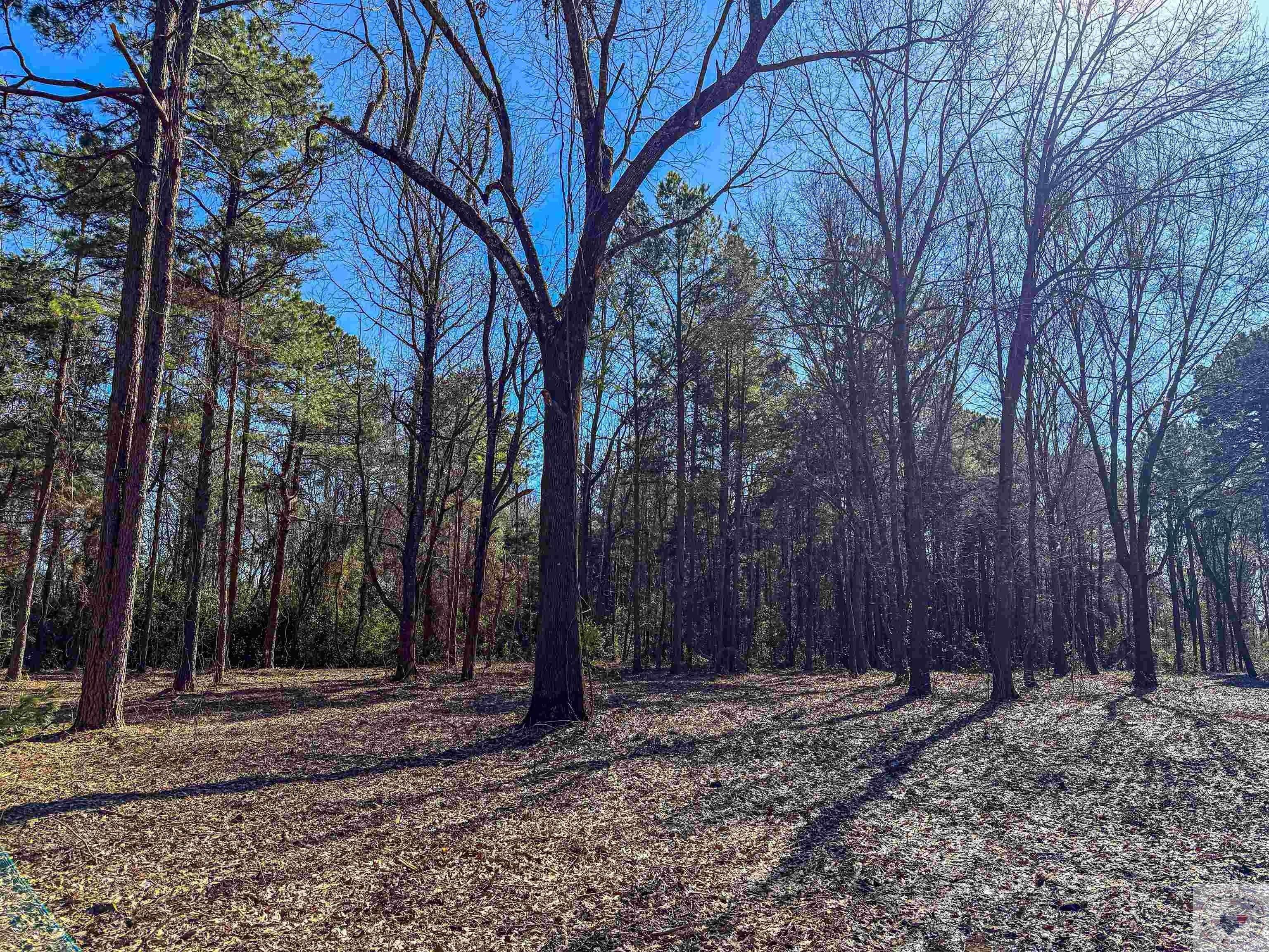 Other - Old Blackman Ferry Rd, Texarkana, AR