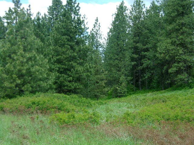 Other - X12X HOAG RD, VALLEY, WA