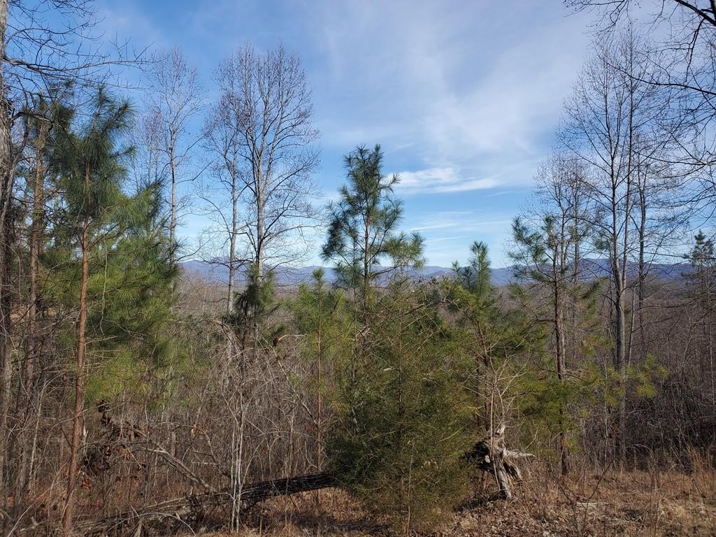 Other - Lot 25 Meadow Brooke, Young Harris, GA