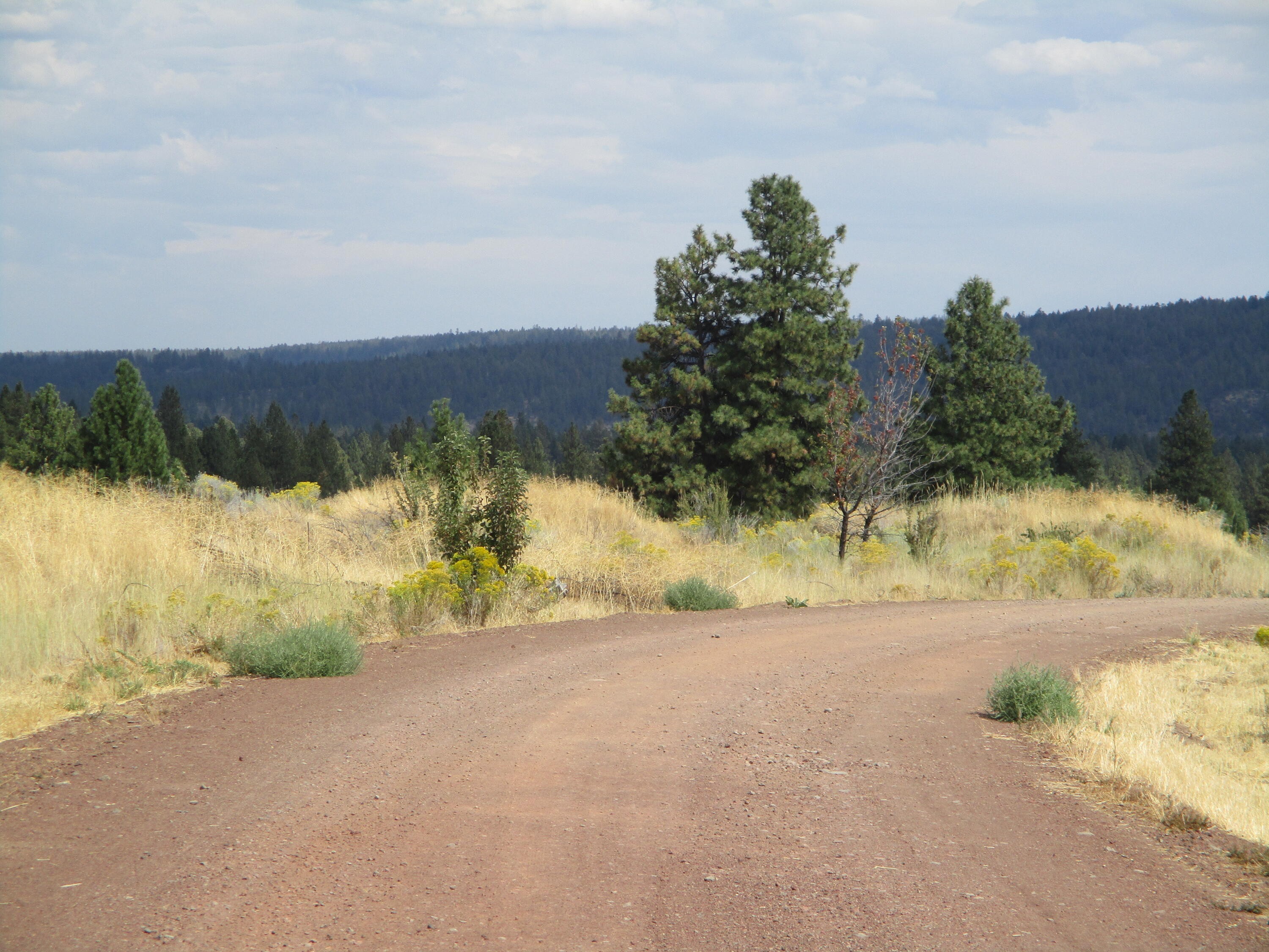 NKA Block 44 Lot 41 Dawn Loop  