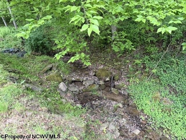 Single Family 2BR 2BA - 336 Mountaineer Highway, Philippi, WV