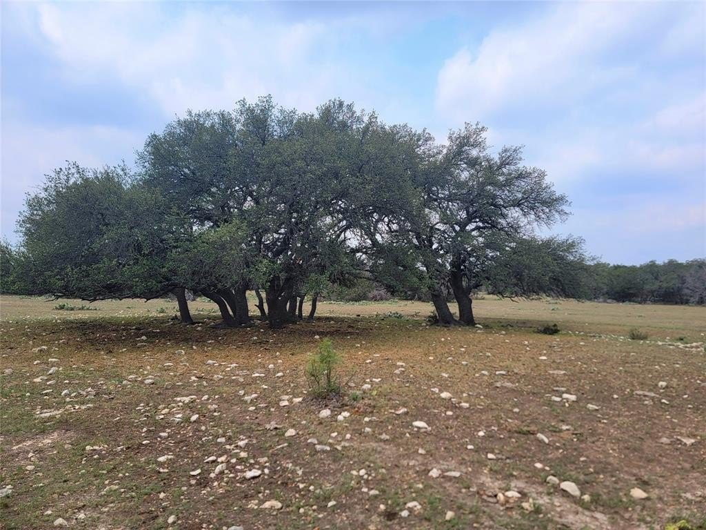 Lot 65 Brandon Rnch  