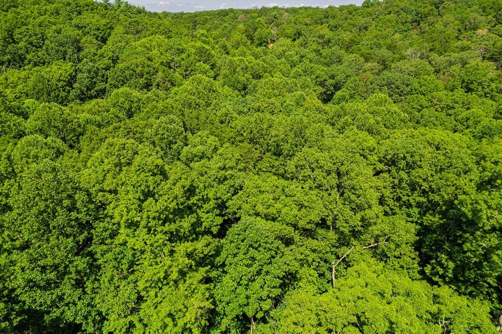 Other - Lot 1164 Spalding Circle, Ellijay, GA