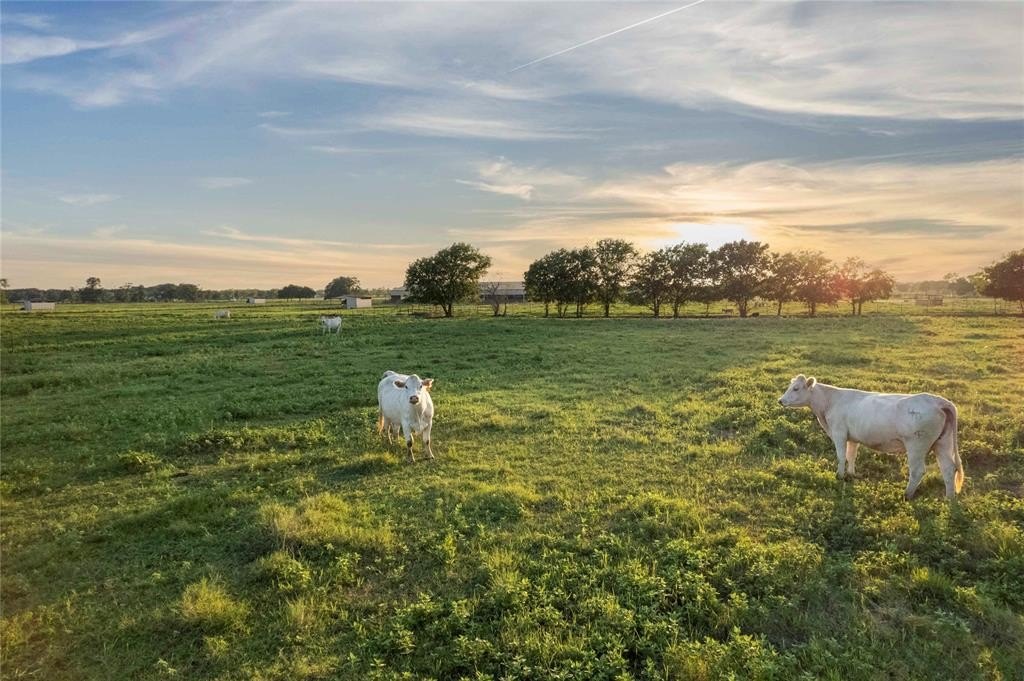 Single Family - Tbd Hog Town Road Road, Collinsville, TX