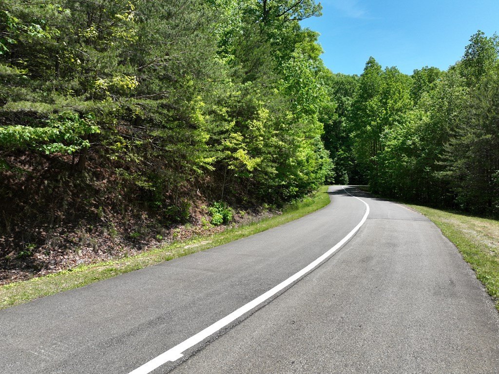 Other - 59 St Andrews Way, Ellijay, GA
