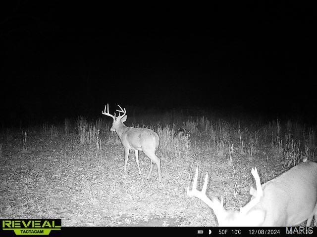 Other - Lot 1d Short Road, Blackwell, MO