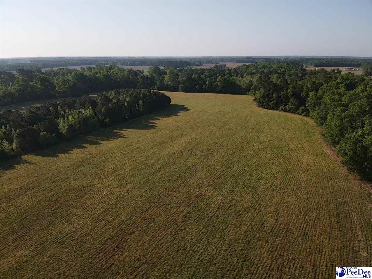 Plots and Land - TBD Tobacco Land Road, Dillon, SC