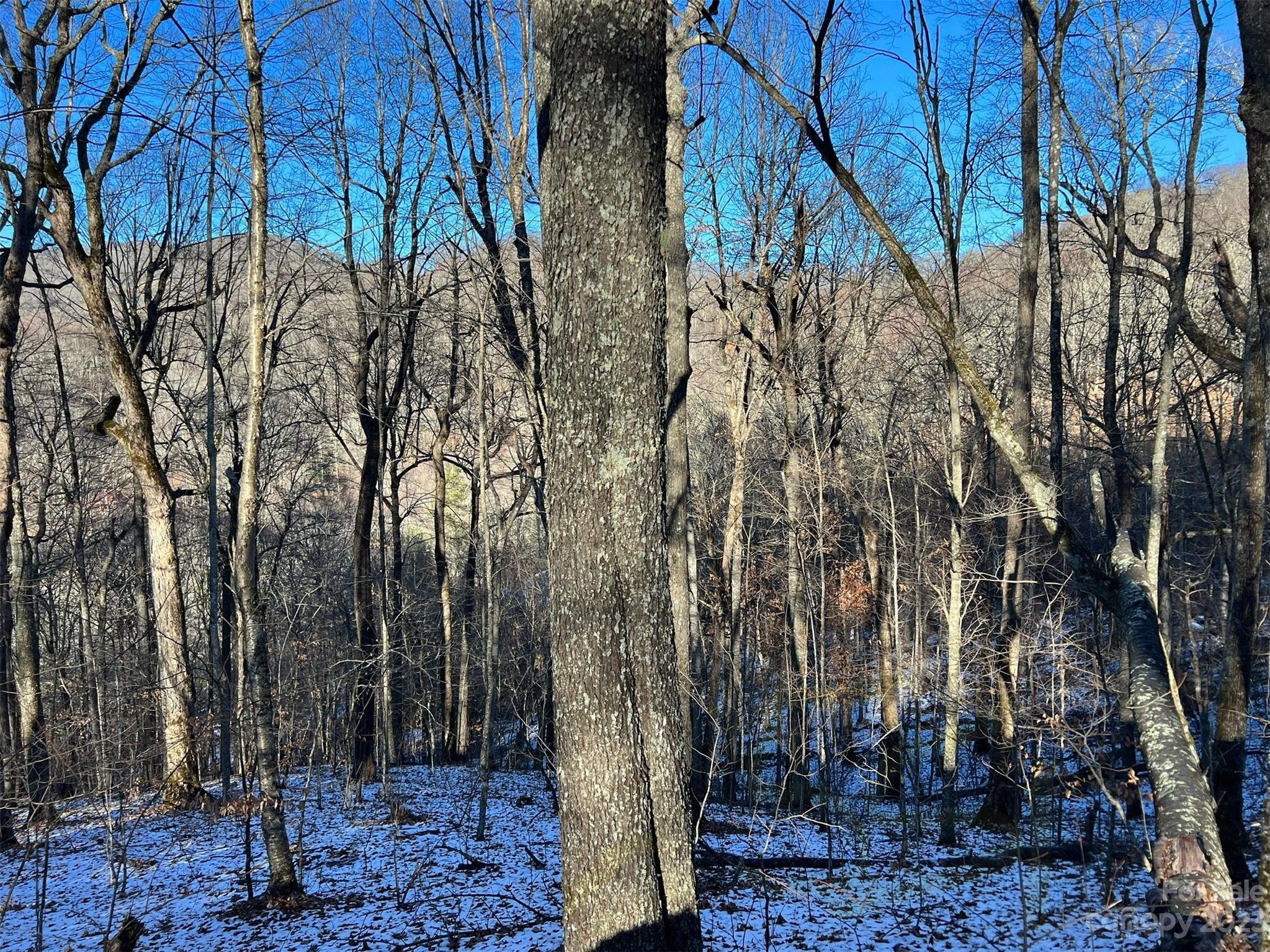 Other - El Miner Drive, Mars Hill, NC