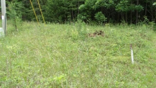 Other - Parkstown Ext. Rd lot: 48, Wilder, TN
